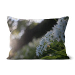 Tilia Cordata Cushion