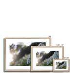 Tilia Cordata Framed & Mounted Print