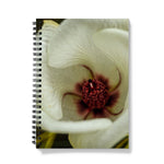 Elle Maree Notebook