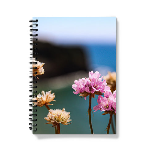Flores Notebook