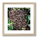 The Hive Framed & Mounted Print