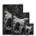 Horns Framed Canvas