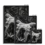 Horns Framed Canvas