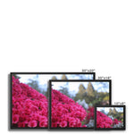 Clyne Gardens Framed Canvas