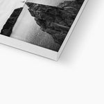 Gower Seagull Canvas