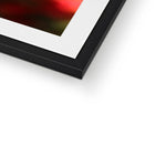 Fiore Italiano Framed & Mounted Print