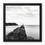 Gower Seagull Framed Canvas