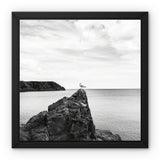 Gower Seagull Framed Canvas
