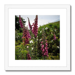 Foxgloves Framed & Mounted Print