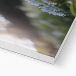 Tilia Cordata Canvas
