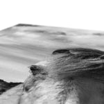 Whitesands Pony Canvas