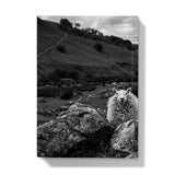 Llyn y Fan Sheep Hardback Journal