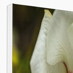Elle Maree Canvas