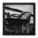 Lookout Framed Canvas