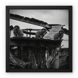 Lookout Framed Canvas