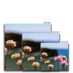 Flores Canvas