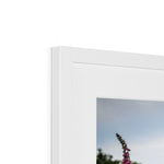 Foxgloves Framed & Mounted Print