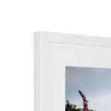 Foxgloves Framed & Mounted Print