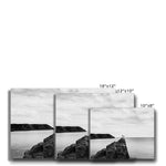 Gower Seagull Canvas