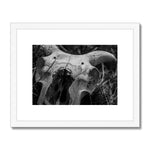 Horns Framed & Mounted Print