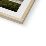 Rhossili Sunflowers Framed & Mounted Print