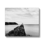 Gower Seagull Canvas