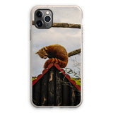 Red Panda Eco Phone Case