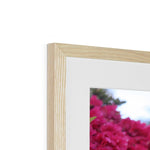 Clyne Gardens Framed & Mounted Print