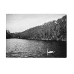 Swan Lake Glass Chopping Board