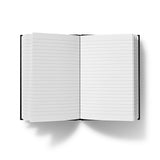 Swan Lake Hardback Journal