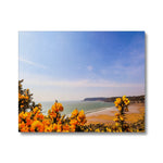 Caswell In Bloom Canvas