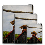 Red Panda Canvas
