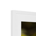 Elle Maree Framed & Mounted Print