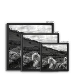 Llyn y Fan Sheep Framed Canvas