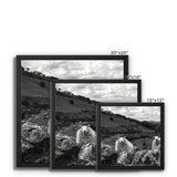 Llyn y Fan Sheep Framed Canvas