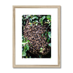 The Hive Framed & Mounted Print