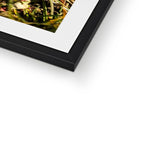 Wild Violets Framed & Mounted Print