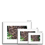 The Hive Framed & Mounted Print