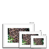The Hive Framed & Mounted Print