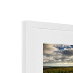 Rhossili Sunflowers Framed & Mounted Print