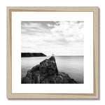 Gower Seagull Framed & Mounted Print