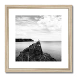 Gower Seagull Framed & Mounted Print