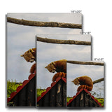 Red Panda Canvas