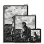 Whitesands Pony Framed Canvas