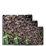 The Hive Canvas