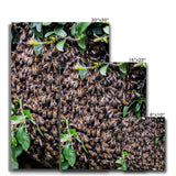The Hive Canvas