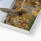 Worm's Head Canvas