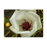 Elle Maree Placemat