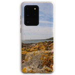 Worm's Head Eco Phone Case
