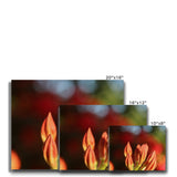 Fiore Italiano Canvas